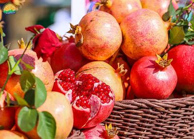 اعلام نرخ جدید میوه های شب یلدا