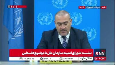  معاون هماهنگ کننده ویژه روند صلح خاورمیانه: با وجود اجرای آتش‌بس در غزه، بارها شاهد نقض آن از سوی اسرائیل و تداوم حملات بوده‌ایم