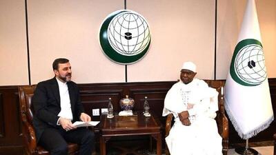 دیدار معاون حقوقی و بین‌المللی وزارت خارجه ایران ‌با دبیرکل سازمان همکاری اسلامی