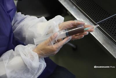  «پیوند مدفوع» جان ۳۵ بیمار را نجات داد