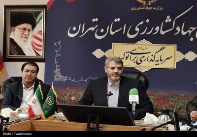 50 اکیپ بازرسی برای کنترل قیمت‌ها در شب یلدا/ بازار مرغ تهران تحت کنترل است - تسنیم