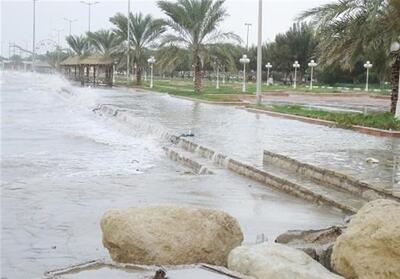 ثبت بارش باران در استان بوشهر رکورد زد - تسنیم