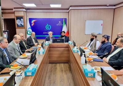 افغانستان و ایران در مسیر تقویت همکاری‌های دارویی - تسنیم