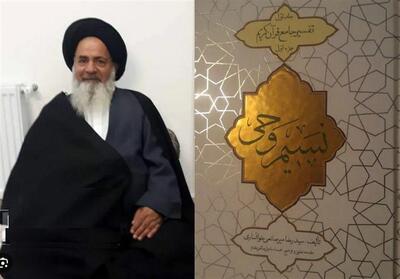 هشدار آیت‌الله میرصانعی خوانساری نسبت به گسترش جریان‌های صوفی در قم - تسنیم