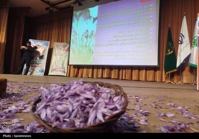 زعفران زاگرس در کانون توجه؛ همایش تخصصی در سروآباد تصویر - تسنیم