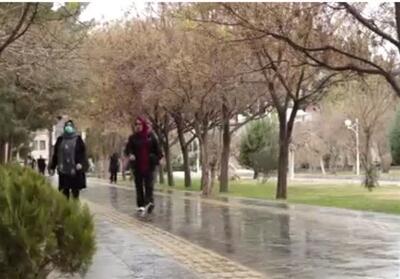 بارش رحمت الهی در سیستان/ مردم دوباره امید را در قطره‌های باران یافتند فیلم - تسنیم