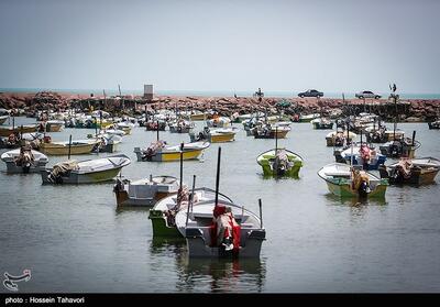 آغاز اجرای پروژه‌های بهسازی در 17 بندر ماهیگیری کشور - تسنیم
