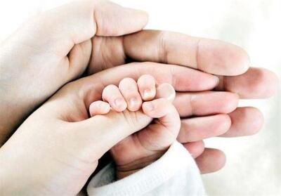 حدود نیمی از احکام قانون جوانی جمعیت ناقص یا اصلاً اجرا نشده است - تسنیم