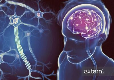 چرا پیشگیری از ام‌اس از مدرسه آغاز می‌شود؟ / لزوم تغییر اولویت‌ها از درمان به آموزش - تسنیم