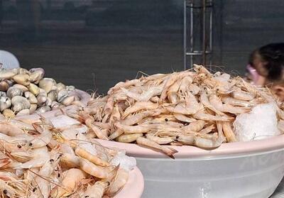 توقیف کامیون یخچال‌دار حامل 1.5 تن میگوی غیرمجاز در بوشهر - تسنیم