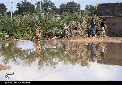 بارش‌های سنگین در جنوب استان کرمان؛ فاریاب با 86 میلی‌متر بیشترین بارندگی را ثبت کرد - تسنیم