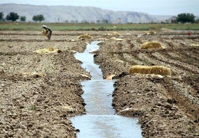 یادداشت|هشدار فائو برای ایران؛ زخم کهنه خاک و دوگانگی کشاورزی - تسنیم