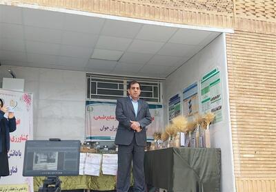 علت کیفیت بالای گندم در ایلام چیست؟ - تسنیم