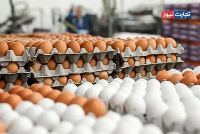 از شانه‌ای تا روزانه؛ بازار تخم‌مرغ به مرحله بی‌ثباتی رسید