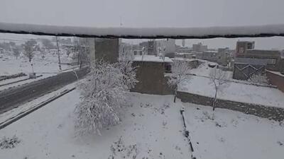  قروه با بارش برف رخت زمستانی بر تن کرد + فیلم