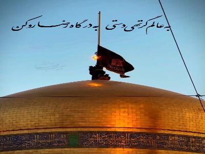  استوری/ به عالم گر تهی‌دستی به درگاه رضا(ع) رو کن...
