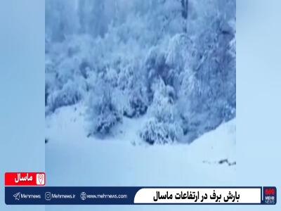  بارش برف در ارتفاعات ماسال