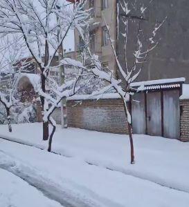  برفِ امروز در گلپایگان اصفهان، سنگ تمام گذاشت