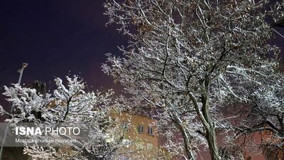جدیدترین پیش‌بینی ها از کاهش دما و بارش برف در کشور