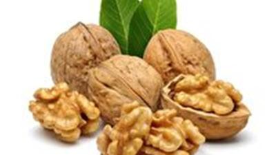  چرا گردو برای صبحانه توصیه می‌شود؟