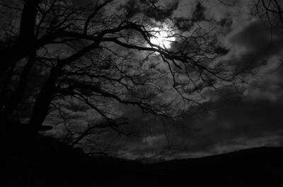 بهترین درمان برای ترس کودکان از تاریکی/ ترس از تاریکی را ضربه فنی کنید