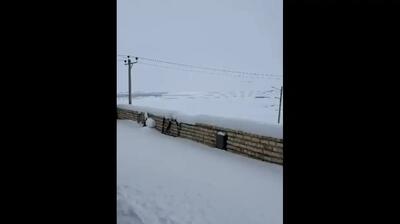  ارتفاع برف در کاشان به  نیم متر رسید (فیلم)