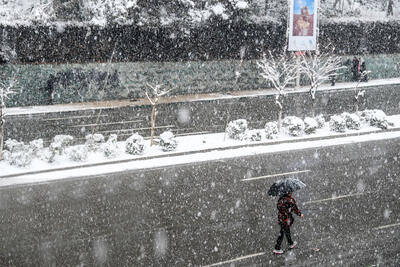 تصاویر زیبا و دل‌انگیز از بارش برف در تهران