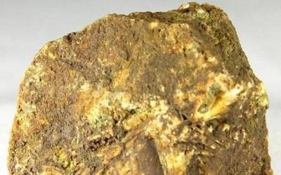  بهره برداری از واحد استحصال و فرآوری شمش طلا در خراسان جنوبی همزمان با سفر رئیس جمهور