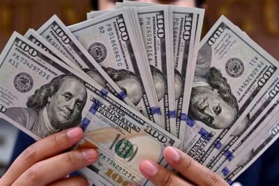 ۱۵ نفر ۶ میلیارد دلار را ناپدید کردند / به اندازه کل ارز ترجیحی در بودجه امسال برای کالاهای ضروری