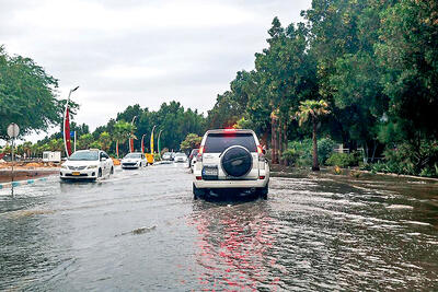 فرصت طلایی برداشت باران