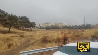 ببینید | بارش برف در تهران
