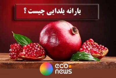 واریز یک یارانه جدید همزمان با شب یلدا+فیلم - اکونیوز