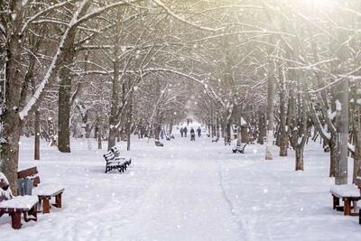 ببینید/ بارش برف در ارتفاعات و مناطق شمالی تهران