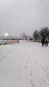 آغاز بارش برف در توچال + ویدئو