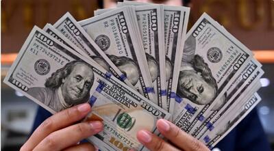 بانک مرکزی: ۱۵ نفر ۶ میلیارد دلار را ناپدید کردند