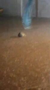 تصاویری از بارش سیل‌آسا در بندر جاسک