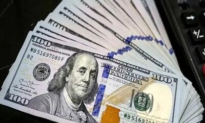 ارز مسافرتی گران شد