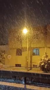  بارش برف در شیراز آغاز شد؛ گزارش زنده از هوای زمستانی شهر + ویدئو