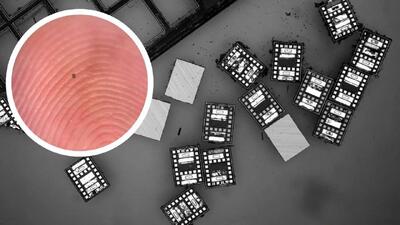 ربات‌هایی کوچک‌تر از دانه نمک با مغز دیجیتال