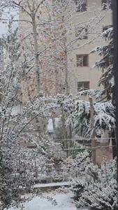  بارش برف در منطقه ولنجک تهران + فیلم