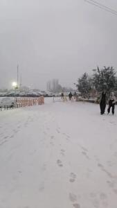  بارش برف صبحگاهی در توچال + فیلم