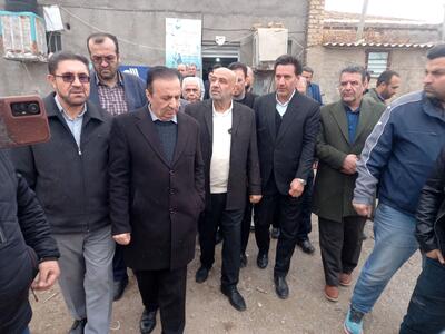  بازدید وزیر کار از خوشه صنعتی کفش دانسفهان