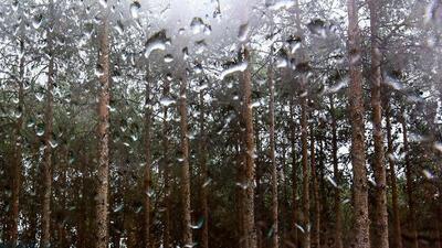 هشدار هواشناسی برای بارش باران شدید و برف و کاهش محسوس دما