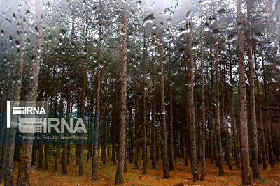 هشدار بارش باران شدید و برف و کاهش محسوس دما