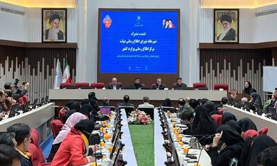 رییس مرکز اطلاع رسانی وزارت کشور: فقط یک درصد از شوراهای شهر کشور دچار تخلف شده‌اند