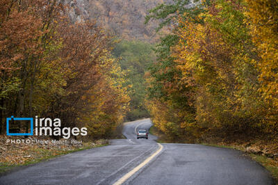 خزان را با روایت گرشا رضایی و محمد علیزاده به پایان برسانیم