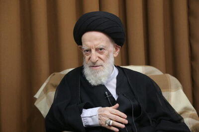  دیدار وزیر جهاد کشاورزی با آیت‌الله‌ شبیری زنجانی در قم