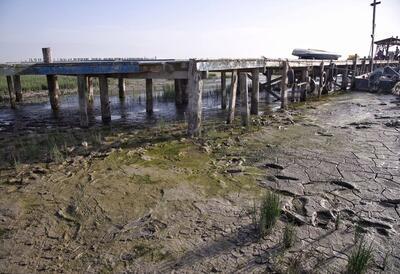 فاجعه اکولوژیک در شمال ایران؛ خلیج گرگان به خشکی کامل نزدیک شد