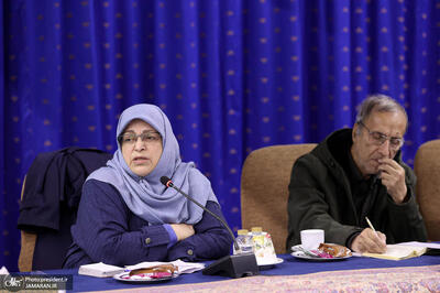  رئیس جبهه اصلاحات ایران خواستار استرداد لایحه ‎تأمین امنیت زنان شد + عکس