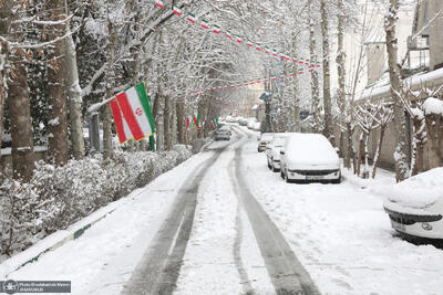  ببینید/ چند منطقه تهران برفی شد